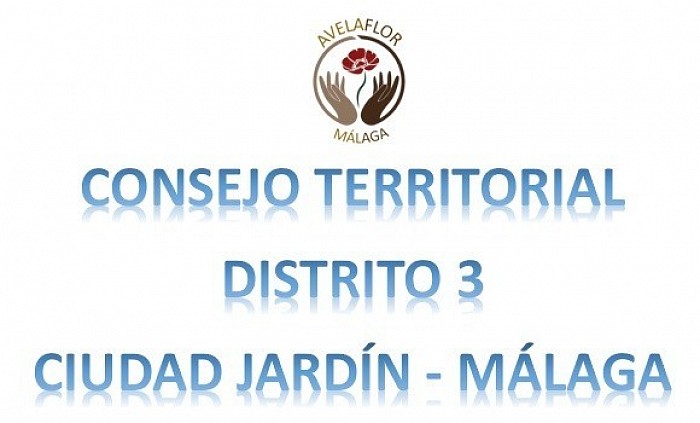 CONSEJO TERRITORIAL